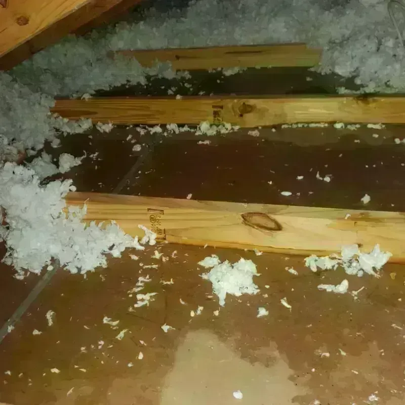 Attic Water Damage in Washington, UT