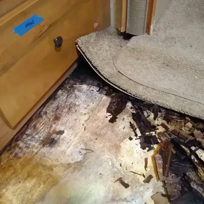 Best Wood Floor Water Damage Service in Washington, UT